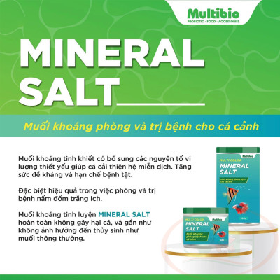 Viên muối khoáng Multi Color Mineral Salt dưỡng bệnh nấm khuẩn bể cá tép thủy sinh