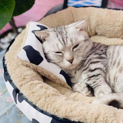 NỆM BÒ SỮA TRÒN SIÊU ÊM MỀM MỊN DƯỚI 6KG DÀNH CHO THÚ CƯNG CHÓ MÈO