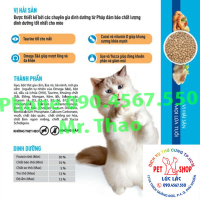 Đồ Chơi Halloween vặn dây cót cho trẻ em, Toys Halloween screwed retune for children