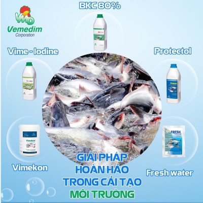 Prozyme for fish new, bổ sung vitamin và enzyme tiêu hóa cho cá, lươn, ốc, hộp 1kg, (Tặng kèm mẫu thử)
