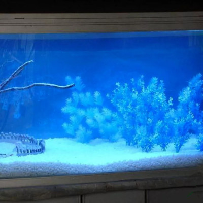 5KG Cát thủy sinh thạch anh lọc nước, trải nền, làm thác cát, trang trí bể cá, khử asen, tạp chất có trong nước ăn hàng ngày ... 