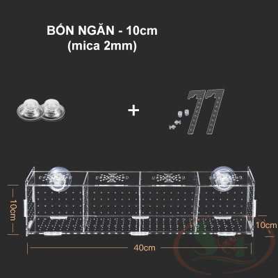 Box mica DIY hít treo đa năng lồng tách dưỡng cây cá tép