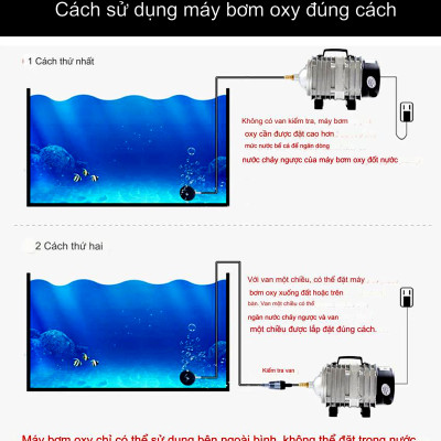 MÁY SỤC SỦI THỔI KHÍ OXY 6 VÒI, 25W CHO HỒ BỂ CẢ CẢNH - TÔM - CÁ - SỬ DỤNG NGUỒN ĐIỆN 220V - ACO 208. TẶNG 6 ĐÁ SỦI TO + 6M DÂY 