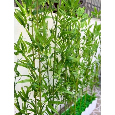 Trúc giả decor 10 cây trúc xịn giả nhiều lá - Size từ 120cm đến 200cm - Cây giả, hoa lụa Decor trang trí nhà cửa
