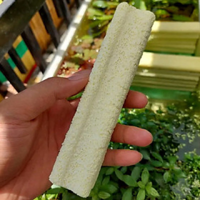 Thanh Sứ Lọc Hoa Mai TO (16x4cm) | Vật Liệu Lọc Nước Bể Cá Cao Cấp, Siêu Sạch