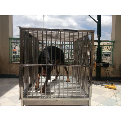 Chuồng chó Inox Juno Sofa KT (70 x 1,2m x 80cm) Không có mái che 