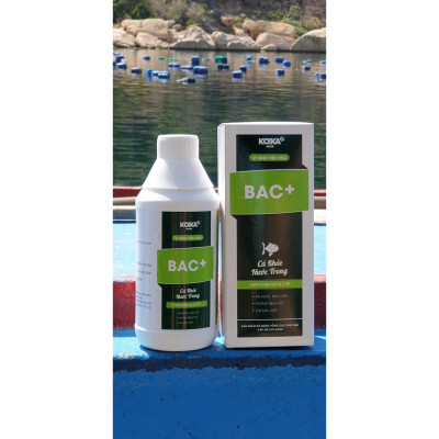 VI SINH TIÊU HÓA KOIKA - BAC+ 1 LÍT (CHAI LỚN)