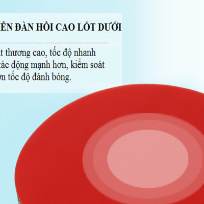 Bộ 2 Vợt Bóng Bàn Chính Hãng miDoctor + Túi Đựng Vợt Bóng Bàn + 3 Bóng 