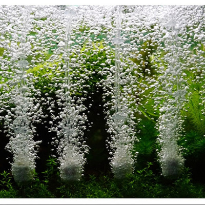 8M Dây Sủi Oxy | Dây Dẫn Khí CO2 Trong Suốt, Cho Hồ Cá Cảnh, Hồ Thủy Sinh Cao Cấp