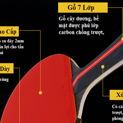 Bộ 2 Vợt Bóng Bàn Chính Hãng Amalife + Túi Đựng Vợt Bóng Bàn + 3 Bóng