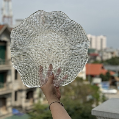 Đĩa IVV Folies 37cm Hàng chính hãng