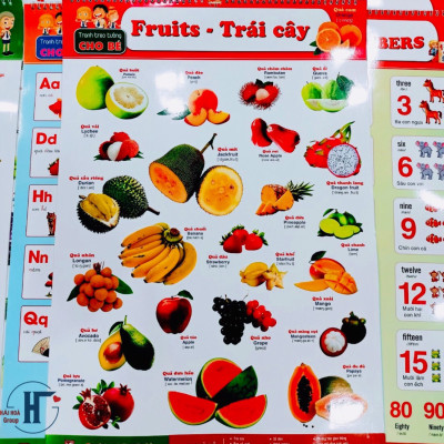 Tranh lò xo- Bộ Tranh Treo Tường 6 Tờ 12 Chủ Đề dành cho bé (Song ngữ Việt Anh)