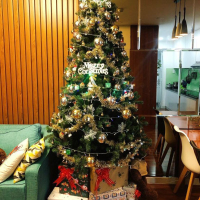 Cây thông noel màu xanh cao 2m4 - Tán dày và đẹp, cây thông chắc chắn và dể tháo lắp