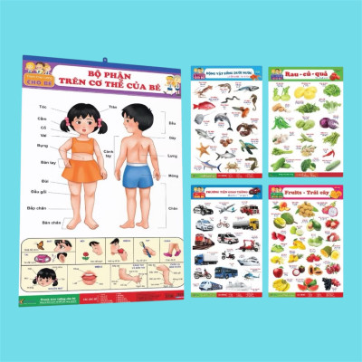 Tranh lò xo- Bộ Tranh Treo Tường 6 Tờ 12 Chủ Đề dành cho bé (Song ngữ Việt Anh)