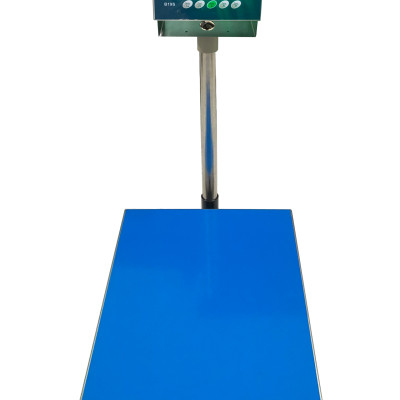 Cân Bàn Điện Tử B19S 100 kg