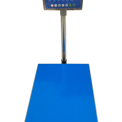 Cân Bàn Điện Tử DIGI DS-166SS 50 kg