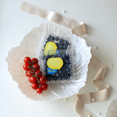 Set 3 Đĩa Thủy Tinh Ngọc Trai - Khay Thủy Tinh Đựng Trái Cây Hình Cánh Hoa Sang Trọng Phong Cách Bắc Âu Trang Trí Nội Thất - HÀNG CHÍNH HÃNG MINIIN