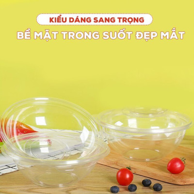 Âu thố trong Nhựa cao cấp giả thủy tinh trong suốt đựng cơm canh có nắp đậy size trung (21*12*10cm) - HÀNG VIỆT NAM