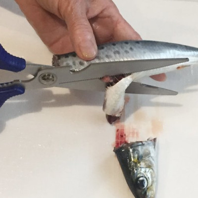 Kéo Nhà Bếp NIKKEN 25cm Đa Năng Sơ Chế Thực Phẩm, Tách/ Kẹp Càng Cua, Mở Nắp Chai,...Dễ Dàng