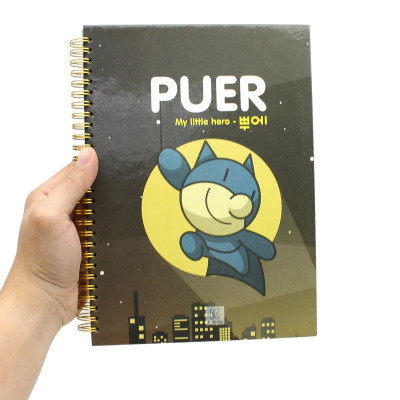 Sổ Lò Xo Bìa Cứng Cao Cấp - K Diary B5 80 Trang - Oxford DF01B5