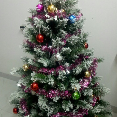 Cây thông noel 3 loại lá phủ tuyết cao 150cm - Tán dày và đẹp, cây thông chắc chắn và dể tháo lắp