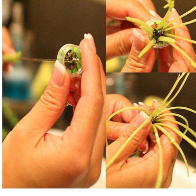 Dụng Cụ Chẻ Rau Muống