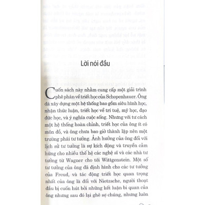 Dẫn Luận Về Schopenhauer