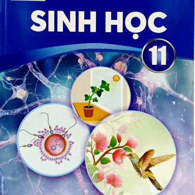 Sinh Học 11 (Chân Trời Sáng Tạo) (Chuẩn)