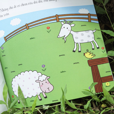 Sách bóc dán giúp trẻ phát triển nhận thức đầu đời - Cho trẻ từ 3 - 6 tuổi - Đinh Tị Books