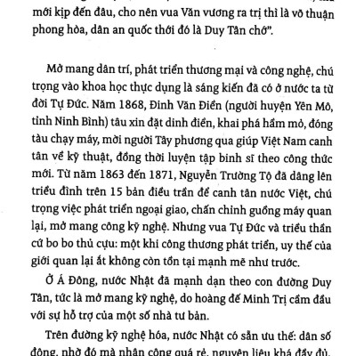 Sơn Nam - Phong Trào Duy Tân Ở Bắc, Trung, Nam - Miền Nam Đầu Thế Kỷ XX - Thiên Địa Hội Và Cuộc Minh Tân