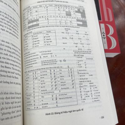 [combo 2 cuốn lịch sử ngôn ngữ] LƯỢC SỬ NGÔN NGỮ - CUỘC PHIÊU LƯU CỦA NGÔN NGỮ ANH