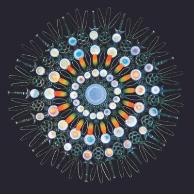 Sách - Vũ trụ: Những thế giới khả hữu (Nhã Nam HCM)