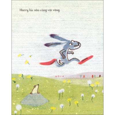 Thỏ Harry Hấp Tấp