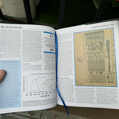 (Bìa cứng – in màu) SINH HỌC - Khái lược những tư tưởng lớn – DK – Nguyễn Thị Bình dịch – Đông A