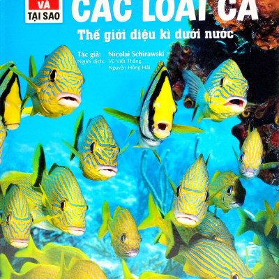 Thế Nào Và Tại Sao - Các Loài Cá - Thế Giới Diệu Kì Dưới Nước - Bìa Cứng (Tái Bản 2023)