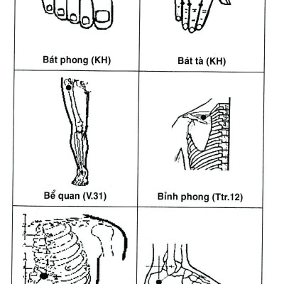 Sổ Tay Tìm Huyệt 2019