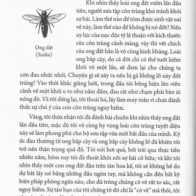 Côn Trùng Ký (Ấn Bản Đầy Đủ Nhất) -Tập 3
