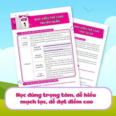 Sách Chinh Phục Ngữ Văn - Kỹ Năng Đọc Hiểu Và Viết Theo Các Thể Loại Lớp 6 Tập 2 - Megabook