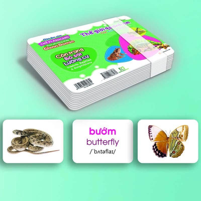 Thẻ Flashcard - The World Around You - Côn Trùng - Bò Sát - Lưỡng Cư - Insects, Reptiles & Amphibians - Bản Quyền