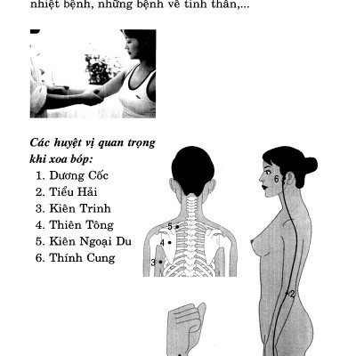 Day Ấn Xoa Bóp Trị Liệu 20 Bệnh Thường Gặp (Tái Bản)