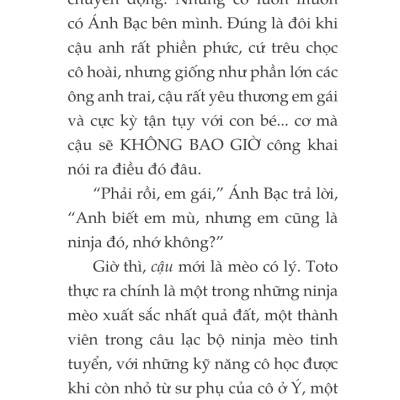 Toto - Cô Mèo Ninja