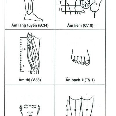 Sổ Tay Tìm Huyệt 2019