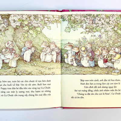 Sách - Boxset Miền Dâu Dại (Bộ 8 Cuốn) - Phiên Bản Đặc Biệt - Crabit Kidbooks - Bìa Cứng