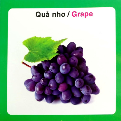 Từ Điển Hình Ảnh Cho Bé - Trái Cây