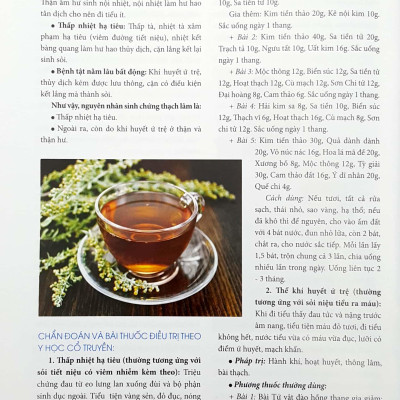Y Học Phổ Thông Dành Cho Mọi Người - Chuyên Đề: Thuốc Nam Và Bệnh Thận (Tập 1)