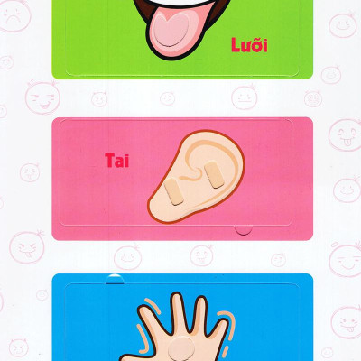 Sách Tương Tác - Lift-The-Flap-Lật Mở Khám Phá - The Human Body - Cơ Thể Người