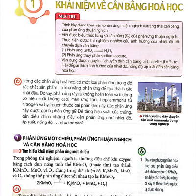 Hoá Học 11 (Chân Trời Sáng Tạo) (2023)