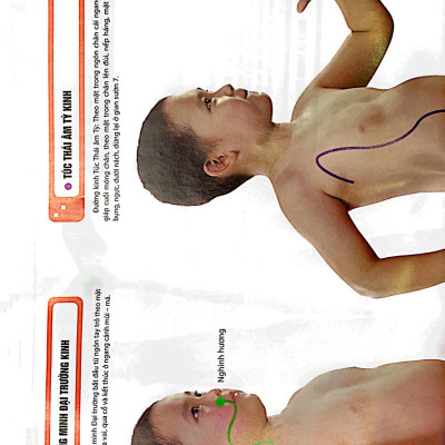 Đồ Giải Kinh Lạc Huyệt Vị - Trẻ Em