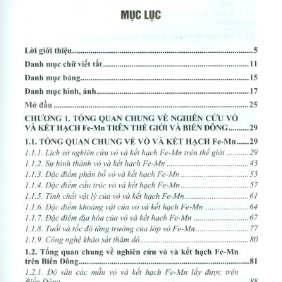 Các Tiền Đề Và Dấu Hiệu Tìm Kiếm Vỏ Và Kết Hạch Fe-Mn Khu Vực Tây Nam Trũng Sâu Biển Đông (Bộ Sách Chuyên Khảo Biển Và Công Nghệ Biển) (Bìa Cứng) 