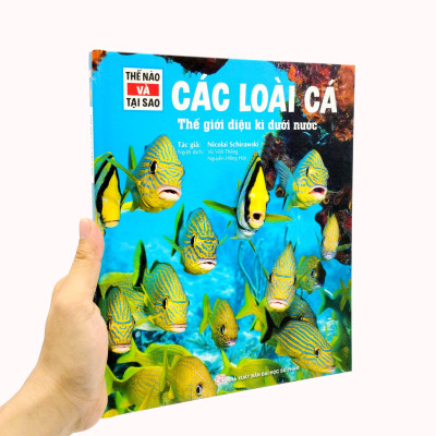 Thế Nào Và Tại Sao - Các Loài Cá - Thế Giới Diệu Kì Dưới Nước - Bìa Cứng (Tái Bản 2023)